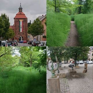 Eberswalde, the Schorfheide-Chorin Biosphere Reserve, and Schwedt in Germany, beautiful nature