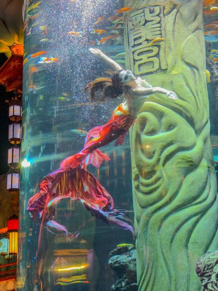 人魚の楽園 人魚は本当にいた。少なくとも青島には、間違いなく存在します