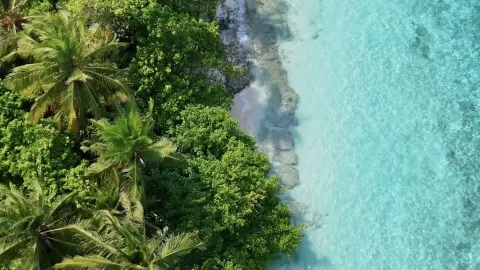 토드 섬 — 패키지 투어 없이 떠나는 몰디브 여행 🌴 — traveler post in 토두