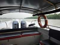 Fireflies & Blue Tears Night Tour: A Memorable Seafood Experience