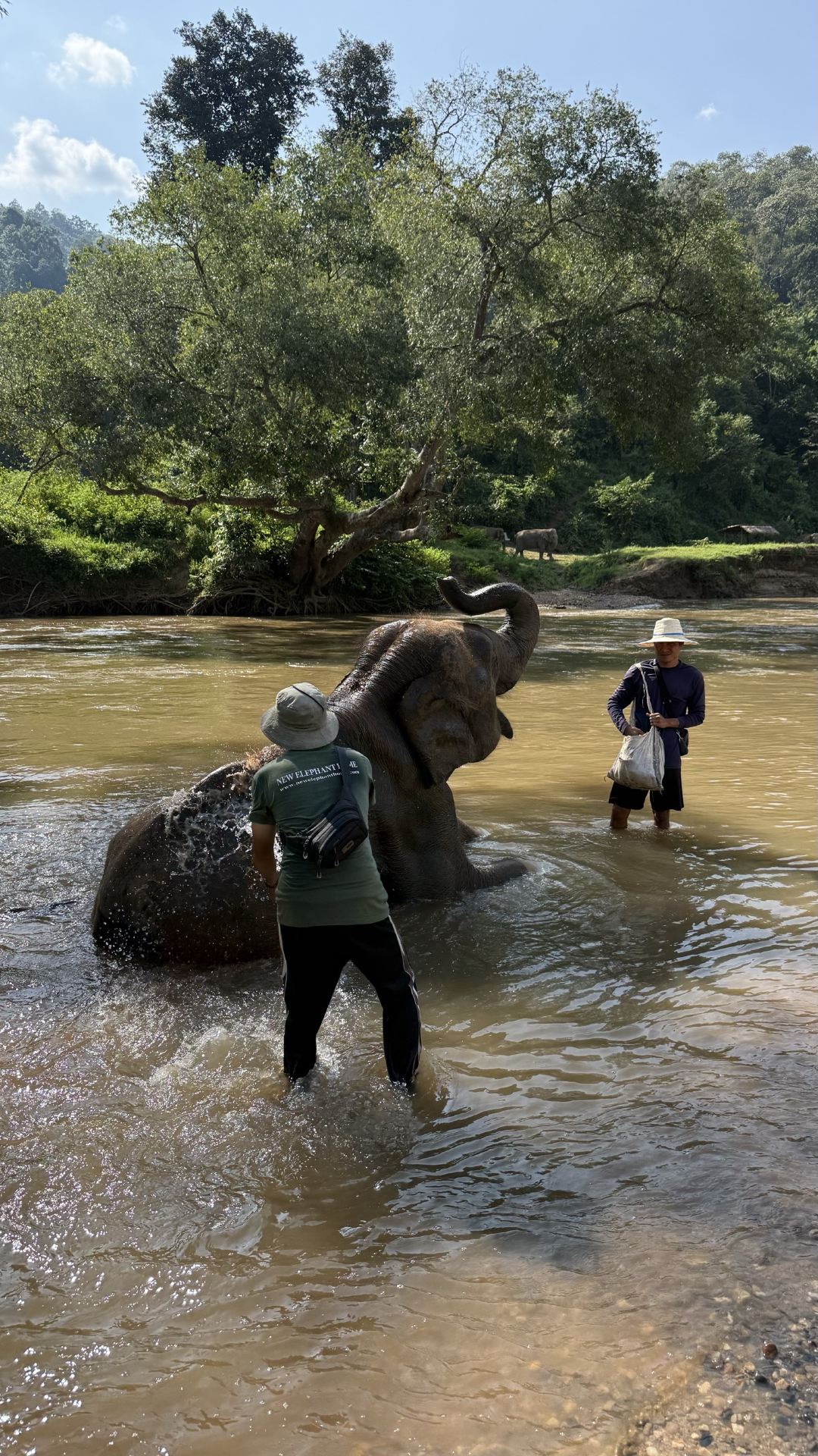 amazing trip,guide gwui give us a beautiful memory. We really like new elephant home. It is natural and beautiful.