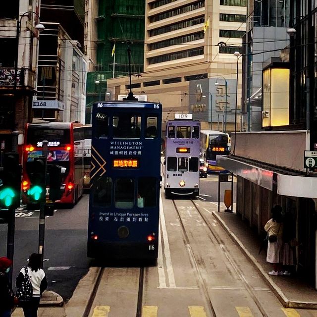 Stunning travels in HKG tramways 🚋