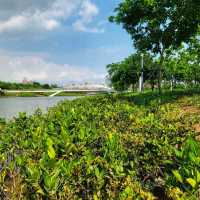 Serene Guiwan 🌿🌊🏙️