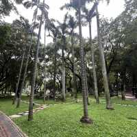  打卡深圳兒童公園