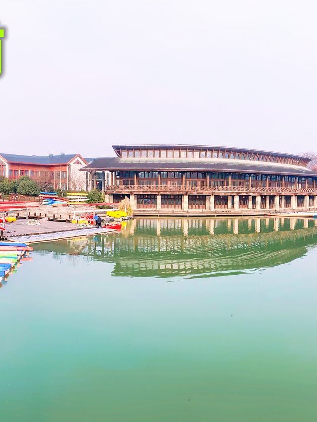 Celebrate the Dragon Boat Festival & Race 🐉