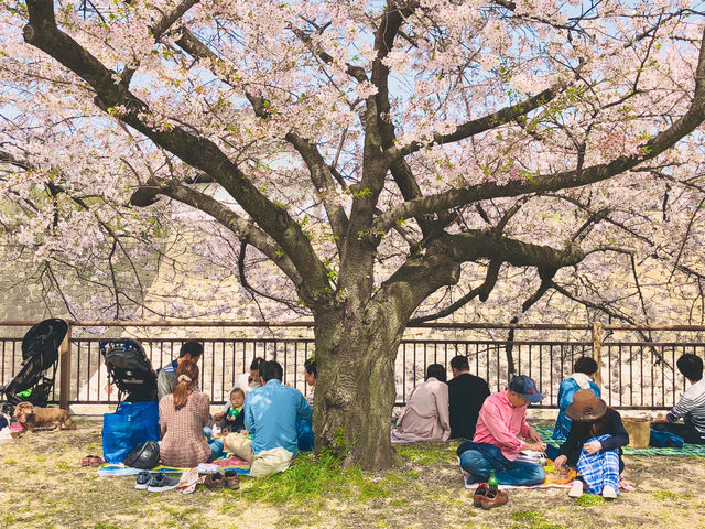 If there were no beautiful cherry blossoms in the world, where could spring hearts find leisure?