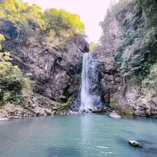 😍BREATHTAKING😍 Shenzhen Park!!