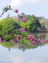 百花潭公園——一個充滿詩情畫意的地方！