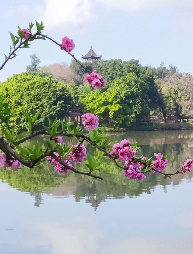 百花潭公園——一個充滿詩情畫意的地方！