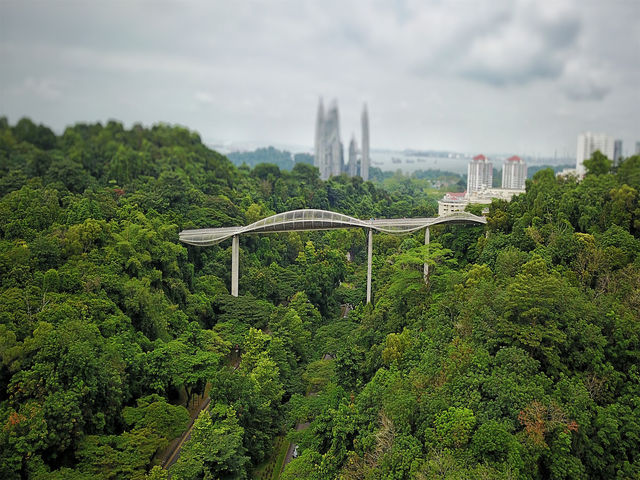 📷 Singapore's Photographer's Paradise: the best places to take photos revealed 🌆!