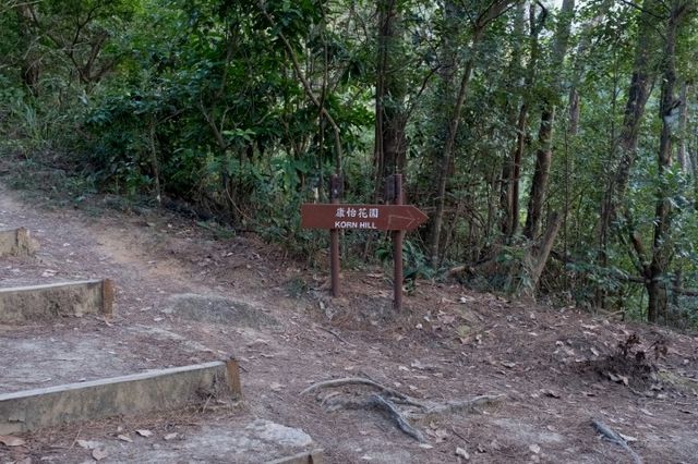 西灣河後山小徑．一小時散步之旅
