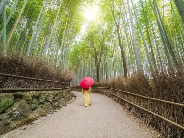 必見！京都探宝記：あなたが知らない名所がここにあります！ 🔍🌟