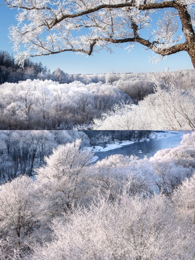 這片冷門的私藏霧凇美景，真的美哭了!!