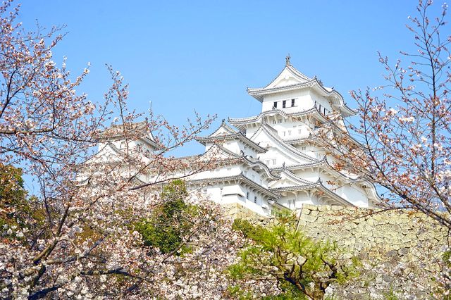 姬路城：日本城堡建築的代表與旅遊勝地