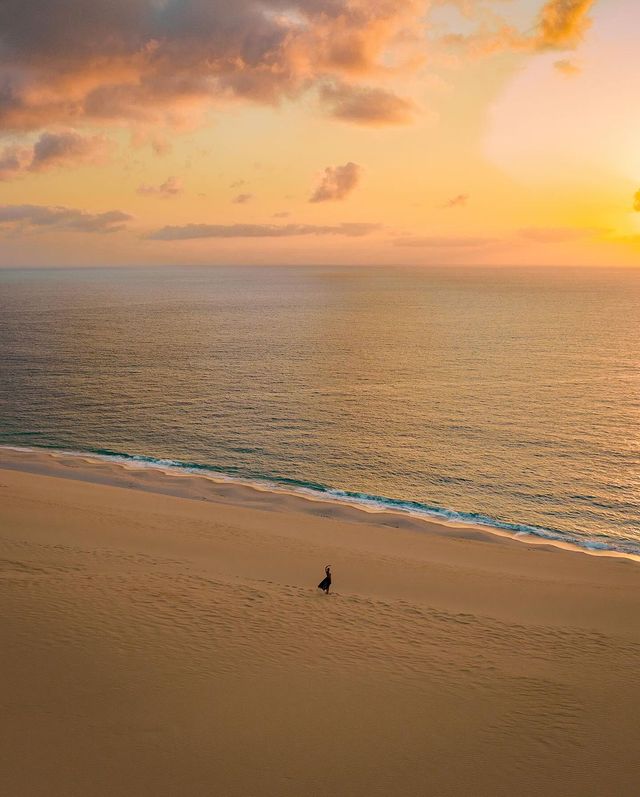 Discover the Hidden Gem of Mozambique: Bazaruto Island's Unearthly Beauty! 🌍🌅🏝️"