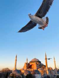 剛從🇹🇷土耳其回來，後勁真的太大了！漫步在城市街頭，清真寺🏰的禮拜聲和小販沿街叫賣的聲音不絕於耳