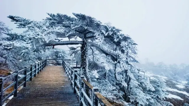 2024年1月16日、轿子雪山がまた雪が降りました！