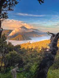 去Bromo火山，聽地球的心跳