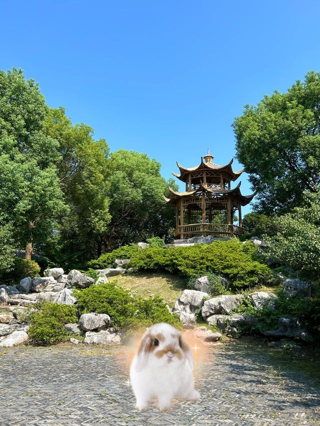 江蘇‖無錫˙尚賢河濕地公園周末休閒好去處