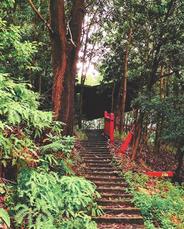 深圳徒步|地鐵直達的小眾綠道，氛圍感好絕