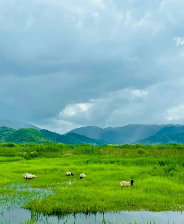 I thought Erhai Lake was already very beautiful, until I went to