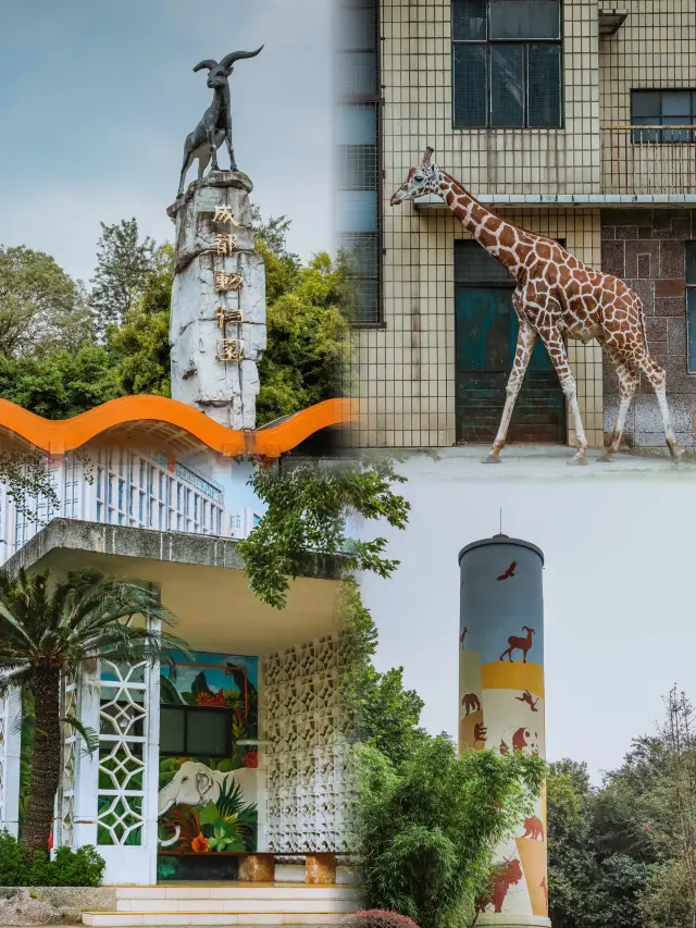 Chengdu Chengdu Zoo | Fun and worth rushing