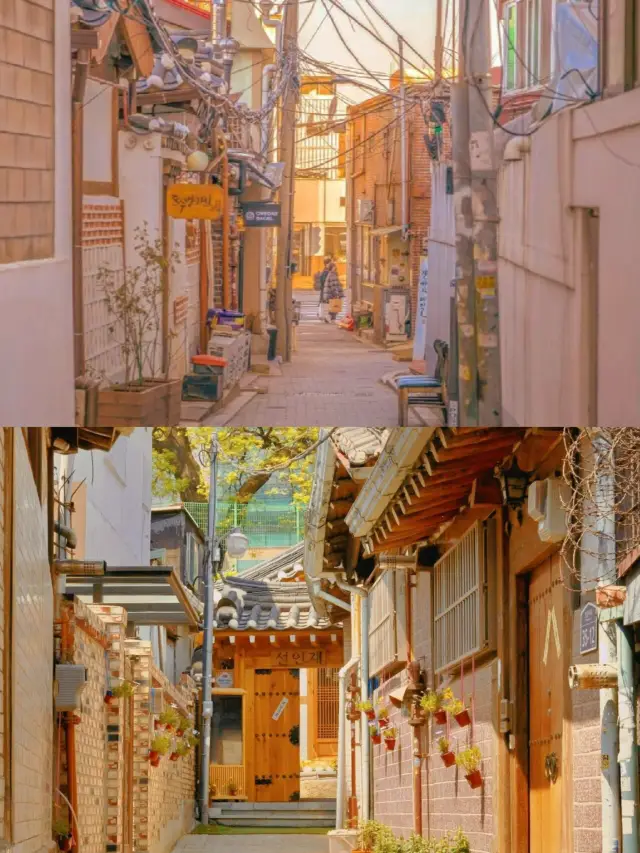 서울 명동은 정말 아름답습니다, 야시장, 도시 야경, 간식, 모두 너무 좋습니다!