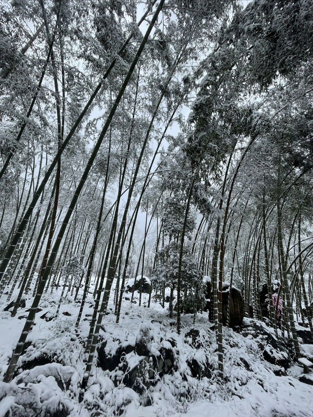 小鎮大雪