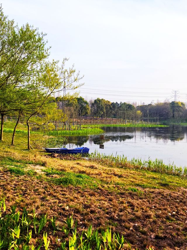 金海濕地公園，上海的“地球之腎”