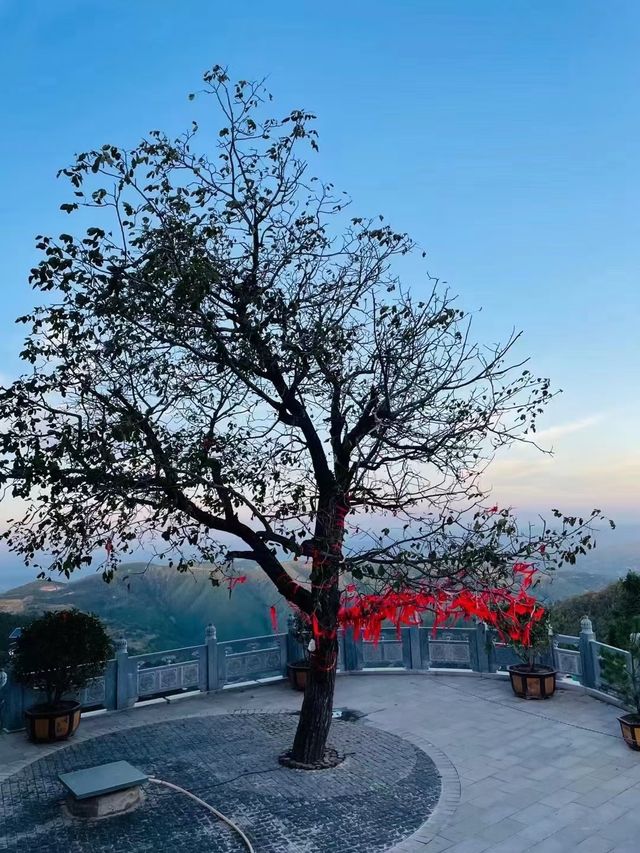 骊山攻略看一篇就夠了!!!白嫖景區