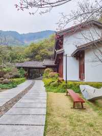 泉州旅遊|在森林間的中式庭院過寧靜慢生活