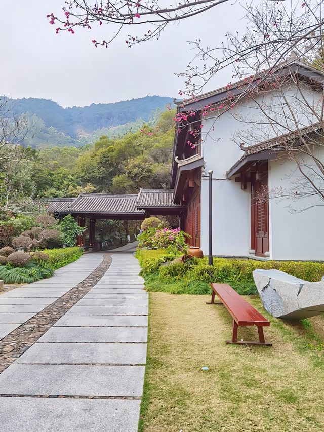 泉州旅遊|在森林間的中式庭院過寧靜慢生活