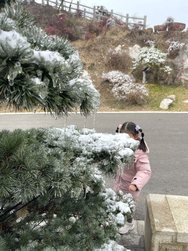 大家都去紫金山而我們來了幕府山