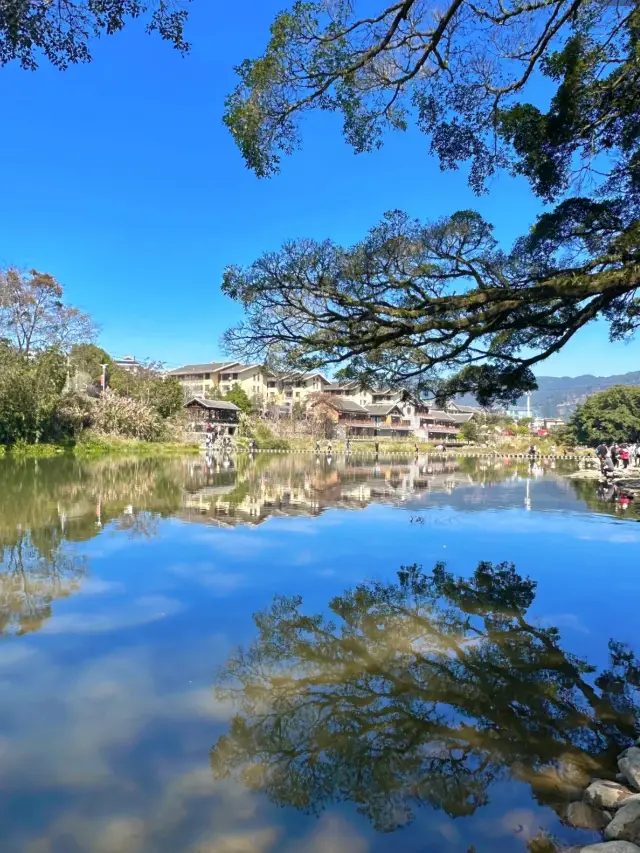 Fujian Tulou dreams back to Big Fish Begonia