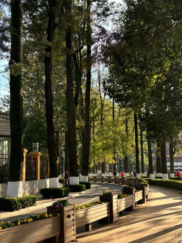 雲南昆明翠湖公園