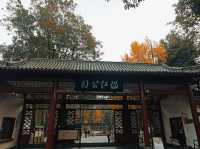 不是拙政園去不起 而是溫江公園更有性價比