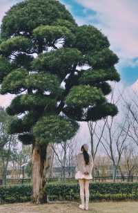 不在歐洲在上海！又發現一處超美度假地