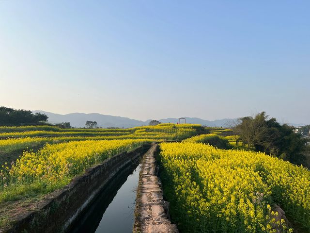 璧山的春天藏匿於村落間