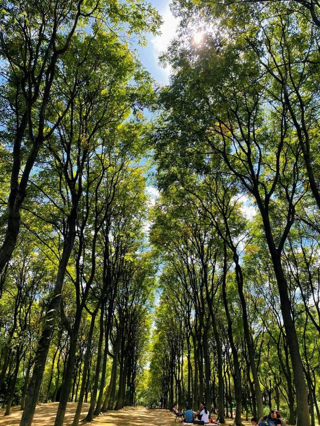 錦繡湖翡翠山免費遊山玩水魔都週末休閒好去處