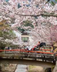 🌸
広島旅行