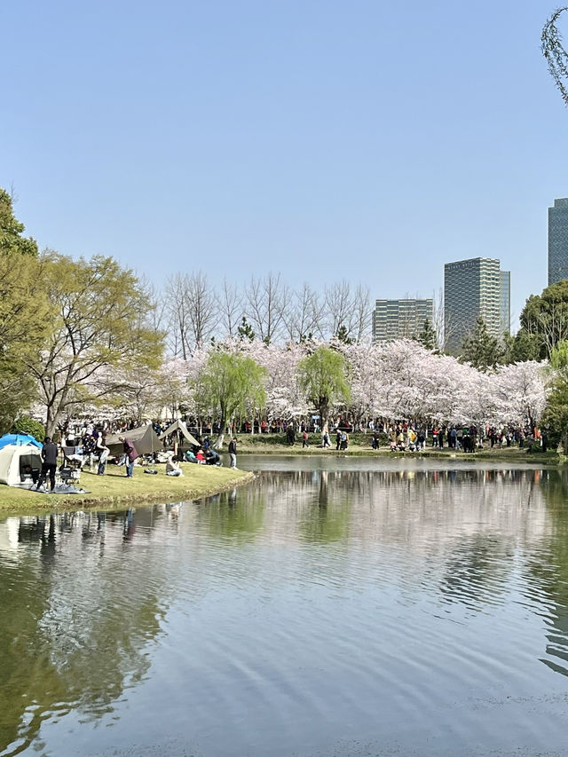 探索城市綠洲—上海世紀公園暢遊指南！