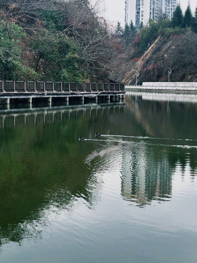 【畢節•碧陽湖】山水畫中的悠然之旅