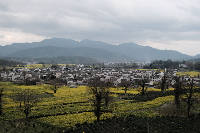 卢村 | 人更少更原始的賞油菜花勝地