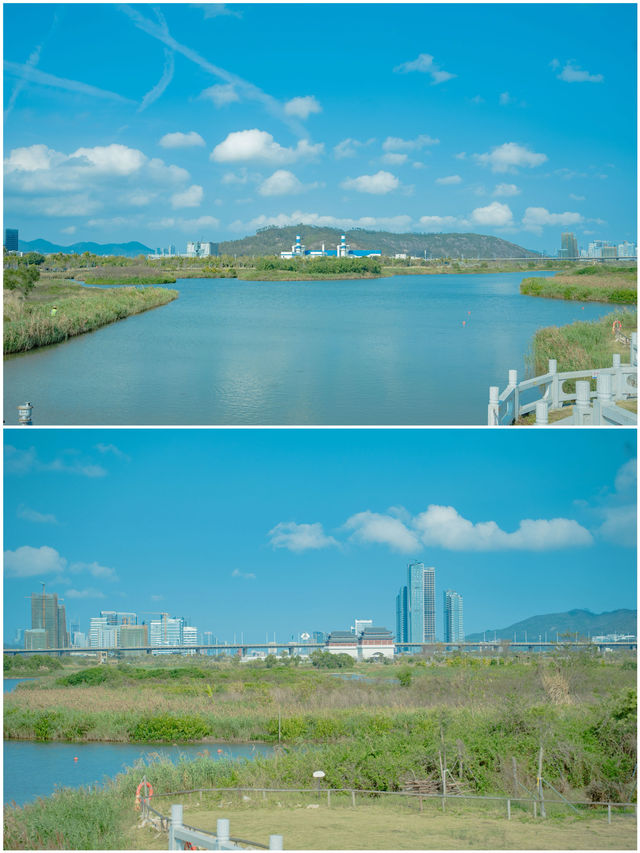 我不允許你不知道珠海竟有這麼浪漫地方