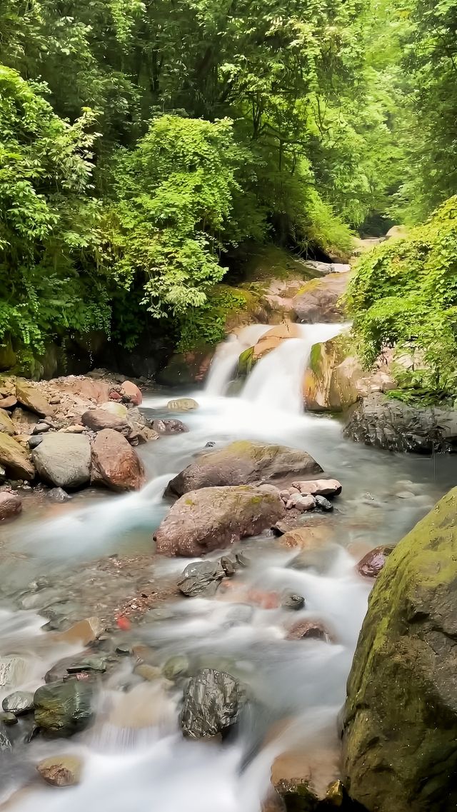 夏日徒步，選擇一條洗肺／涼爽／安全的路線很重要！