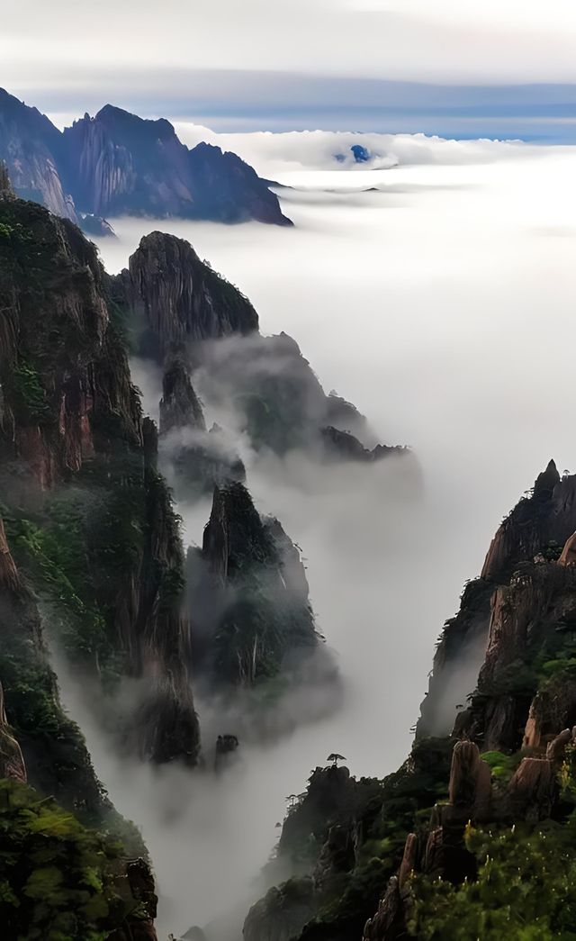 黃山的魅力有多大，光看課本不知道，去了才知道