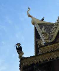 今日帶妳打卡柬埔寨塔山寺