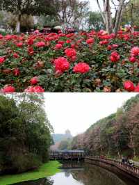 親近自然於德陽最大的郊野公園東湖山公園