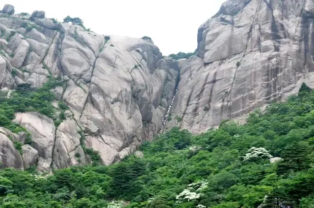 黃山旅遊絕對不虛此行