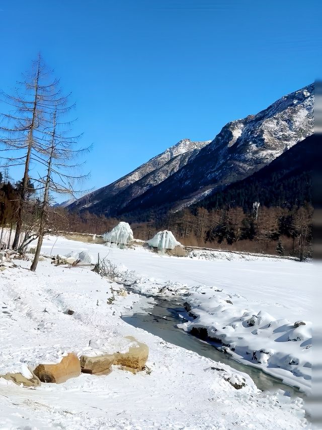 冬季錯峰！反向遊川西，承包無人雪景